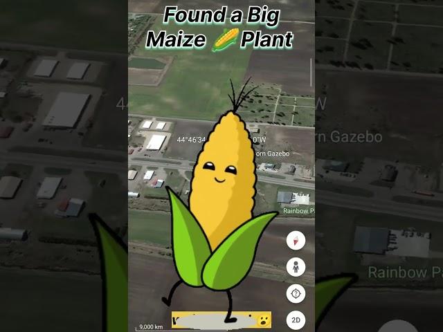 I Found a Giant Corn  Maize Real Life On Google Earth and Google Maps