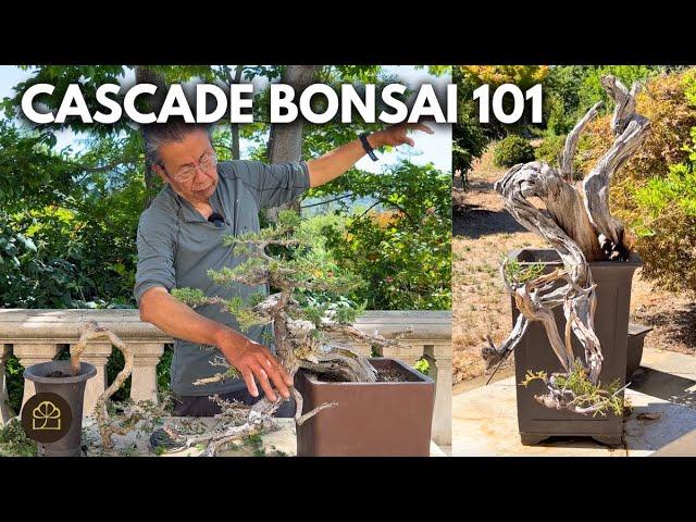 How to Make Small and BIG Cascade Bonsai