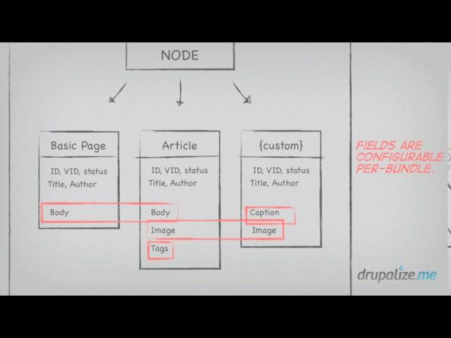 2 What Are Drupal Entities  Drupalize Me