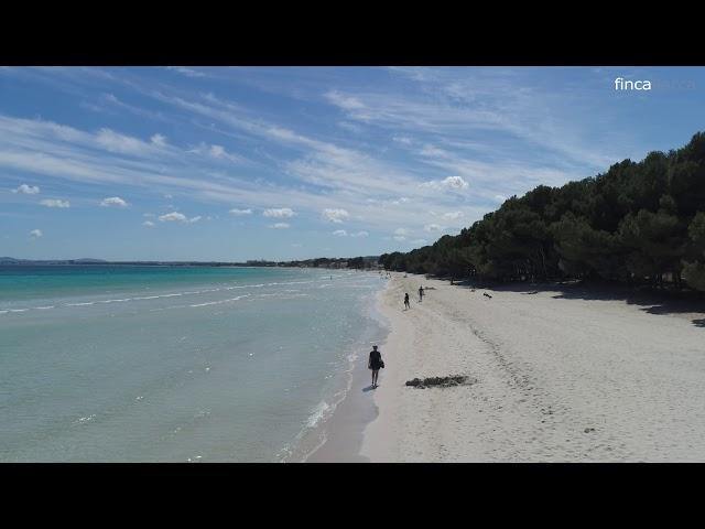 Strand Port d'Alcúdia, Mallorca