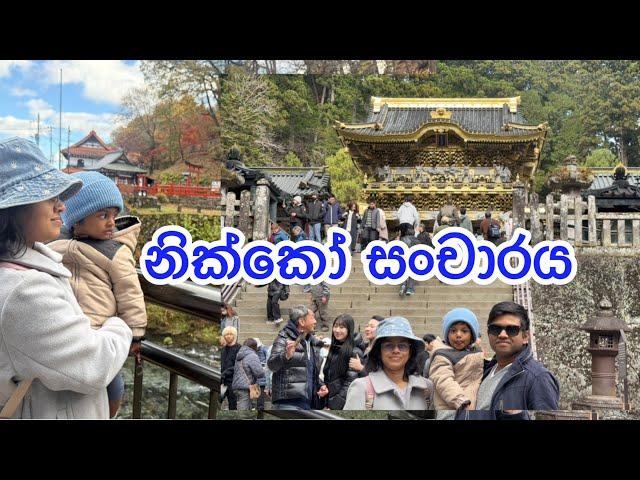 නික්කෝ සංචාරය A Day in Nikko: Temples, Waterfalls, and Scenic Beauty