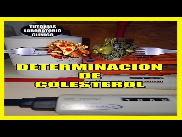 🪔Como hacer la Determinación de Colesterol Total en Sangre- Laboratorio Clínico (Tutorial)‍