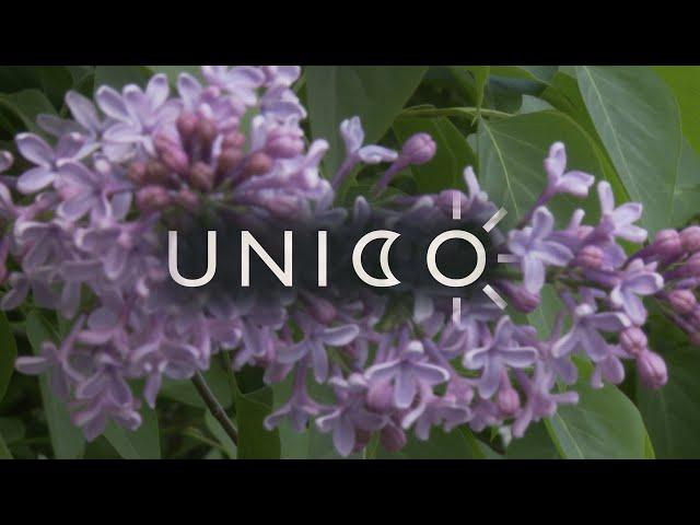 UNICO - Poland / Fashion Film TV