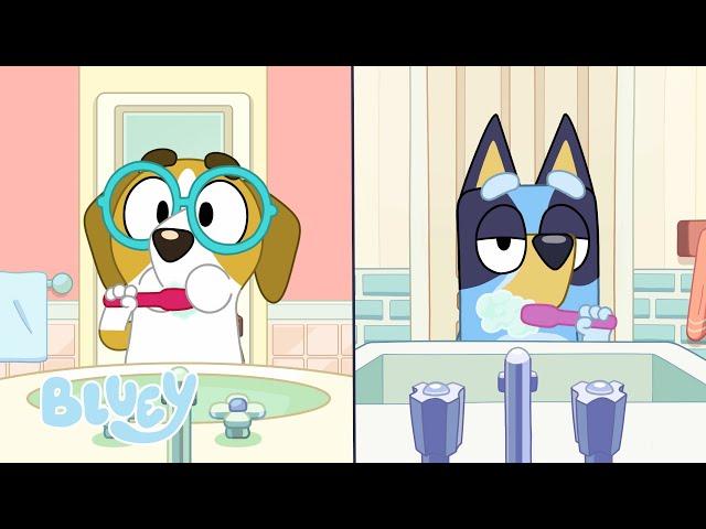 Ao Lado ⏰  | Pequenas Histórias com Bluey | Bluey Português Brasil Canal Oficial