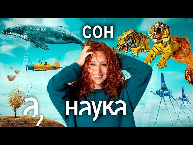 Мозг во время сна. Кошмары.  Самый удобный матрас // Наука. А поговорить?