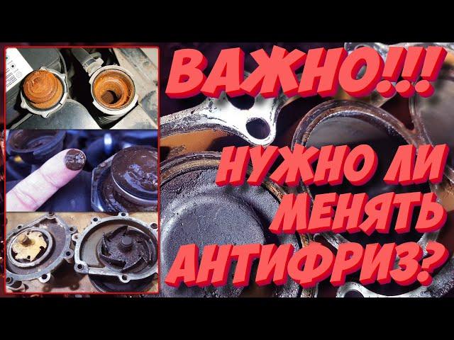 Нужно ли менять антифриз и как часто это делать? Это важно!!!