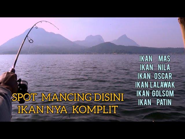 MANCING JATILUHUR TERBARU   MANCING DI SPOT INI IKAN NYA KOMPLIT