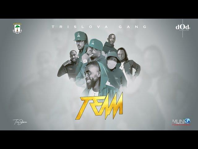 THE TEAM (Official Video Lyrics)