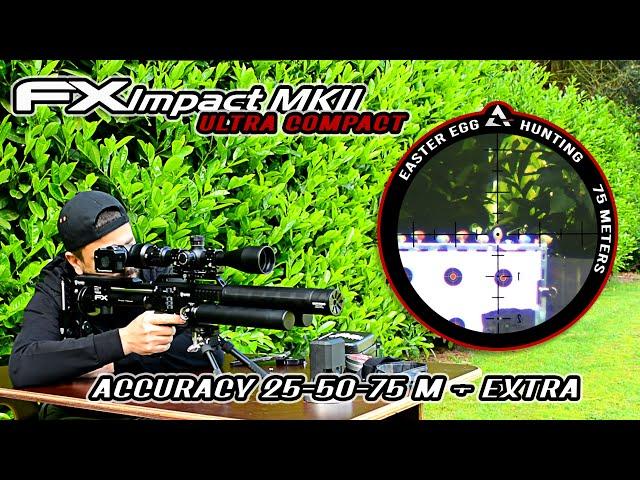 FX Impact MKII Ultra Compact Accuracy Review