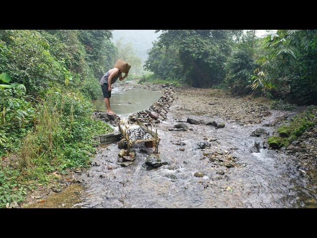 Primitive Skills | Unique Fish Trap With Ancient Technique, Giving Life to Fish - Ep.159