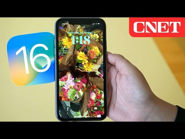 iOS 16: Must-Try Hidden Features for All iPhones