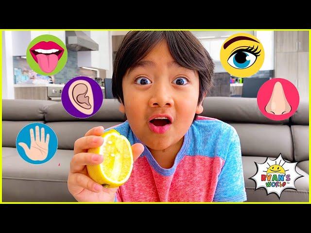 The Five Senses and more 1 hr kids educational learning video!