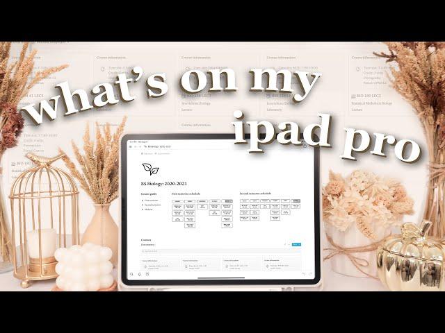 what's on my 12.9" M1 ipad pro 2021 ️  accessories, organization, & productivity apps