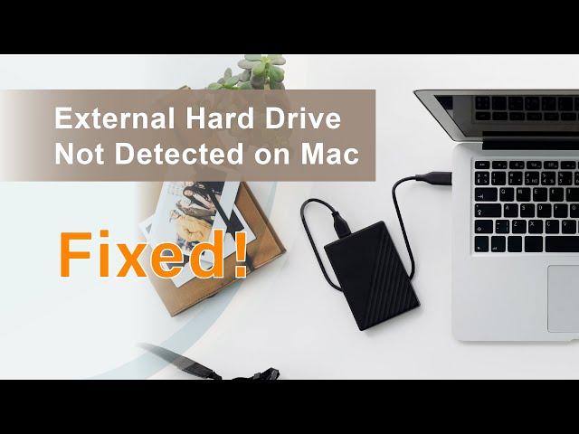 5 Proven Ways to Fix External Drive Not Detected/Showing Up On Mac 2024