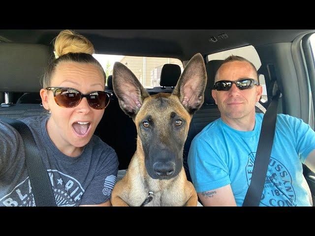 Got a New Puppy!|| 4 Month Old Belgian Malinois || Road Trip with Us to Pick him Up!