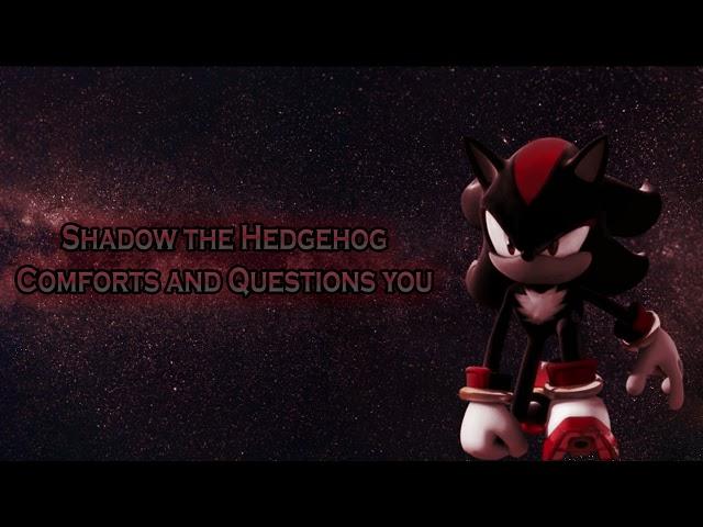 [ASMR] Shadow the Hedgehog Comforts and Questions You