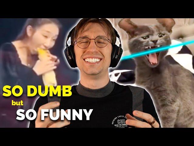 Tiktoks Funniest Videos