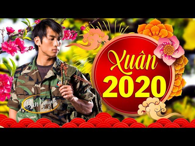 Xuân này con không về - ĐAN NGUYÊN | Nhạc Xuân Hải Ngoại 2020 Buồn Nhất Xa Nhà Cấm nghe Về Đêm