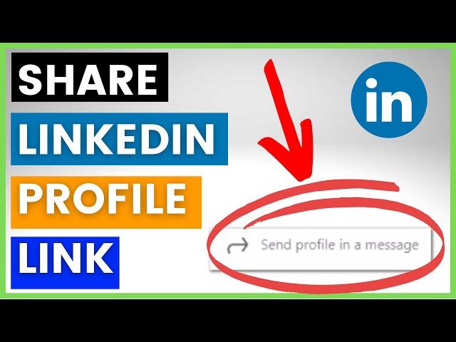 How To Share Your LinkedIn Profile Link? [in 2024]