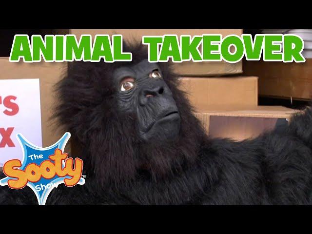 Animal Takeover   - @TheSootyShowOfficial   | 30+ mins | #compilation   | TV Show for Kids