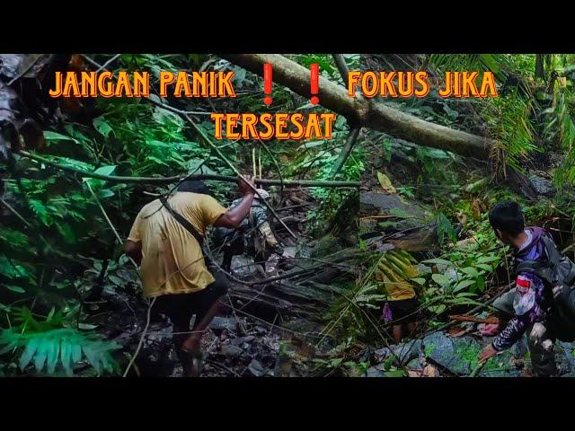 TERSESAT SEHARIAN DI HUTAN RIMBA BELANTARA || SURVE LOKASI BARU