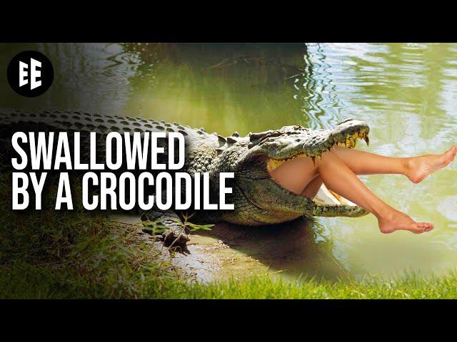 What If A Crocodile Swallowed You?