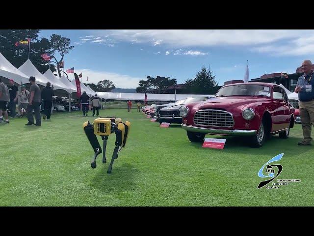 Spot with the Fast Cars, Mecum Monterey Car  Auction, 2023