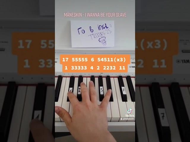 Måneskin - I WANNA BE YOUR SLAVE УРОК на пианино! Легко! EASY PIANO TUTORIAL!