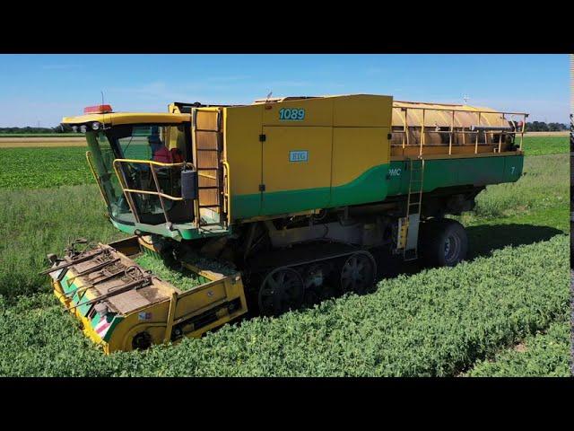 Erbsenernte 2020 im Marchfeld | Pea harvest | Ploeger | PMC