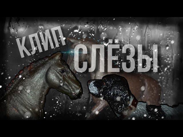 КЛИП SCHLEICH-'СЛЁЗЫ'/лошади шляйх/+на конкурс schleicg the dogs/#наконкурсдогика
