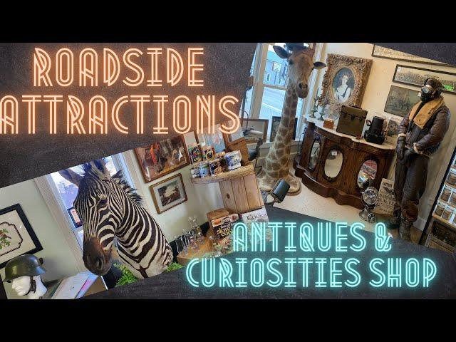 Roadside Attractions Antique & Curiosity Shop - Complete Walkthrough - Metamora, MI