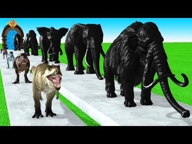 Paint Animals Mammoth Elephants Dinosaurs Size Comparison Fountain Crossing Animal Game Transformati