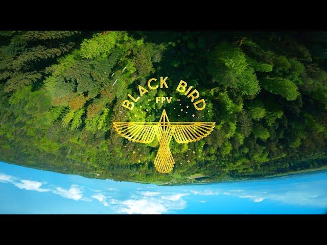 BLACK BIRD FPV - FPV FREESTYLE - Trying to fly more human ( JUICE is not DEAD)