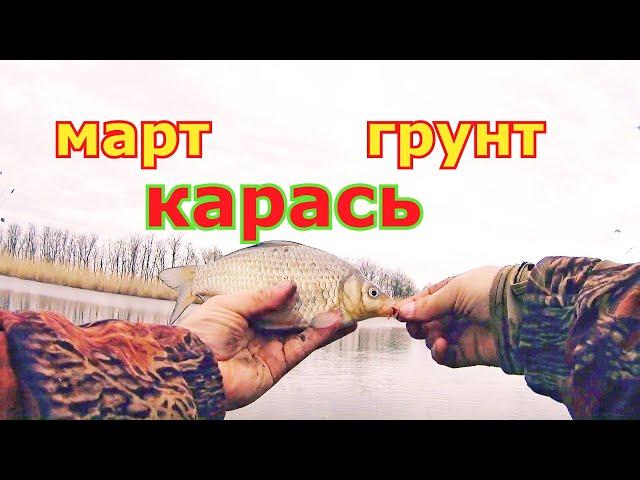 Карась в начале марта на фидер. Очень трудовая рыбалка на карася. Грунт для ловли карася карася