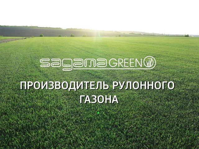 Рулонный газон Самара. Производитель рулонного газона в Самаре - Sagama Green