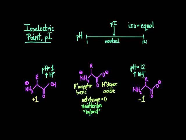 Isoelectric Point and Zwitterions