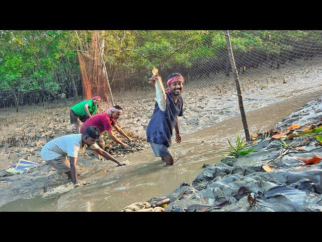 এই প্রথমবার সুন্দরবন জঙ্গলে,খাল পাটা দিয়ে মাছ ধরলাম!!!