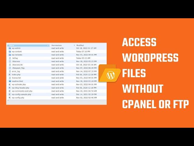 File Manager: Access all WordPress files without cPanel or FTP? | #Shorts