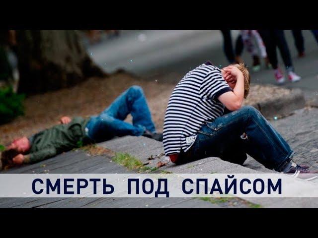 Контуры. Смерть под спайсом