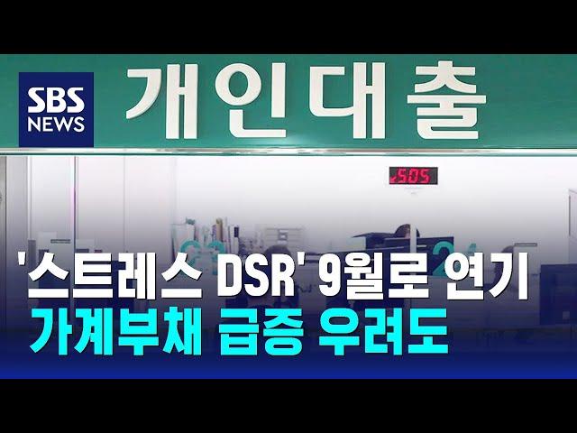 '스트레스 DSR' 9월로 연기…가계부채 급증 우려도 / SBS