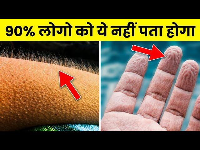 शरीर से जुड़े ये फैक्ट आपके होश उड़ा देंगे | Amazing Facts About the Human Body | Rewirs Facts