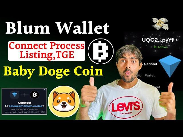 Blum Airdrop Wallet Connect Process || Baby Doge Coin New Mining || Blum Mining Listing & TGE