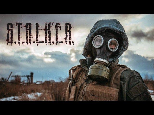 S.T.A.L.K.E.R. - Call of Chernobyl - стрим. Рыжий лес. Где найти деньги в Сталкере