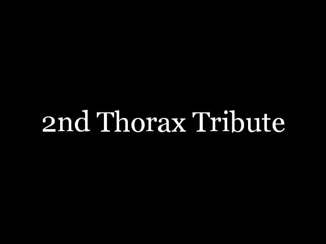 MLP:FIM 2nd Thorax Tribute - Change your life