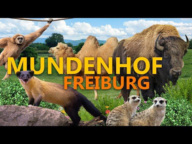 Mundenhof in Freiburg - The free XXL zoo | Zoo impression