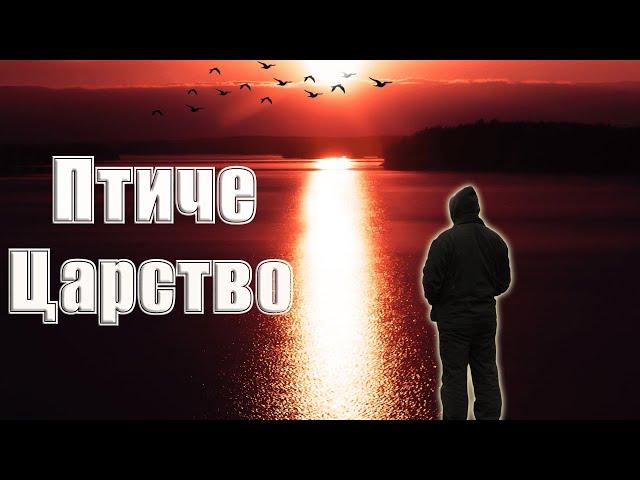 Риболов на шаран: Птиче царство