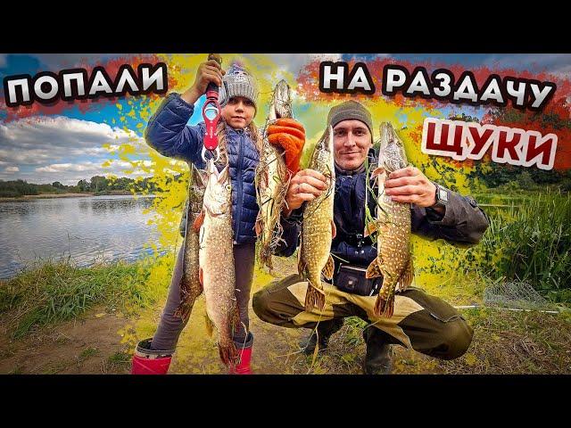 ЖОР ЩУКИ НА КЛЯЗЬМЕ / Рыбалка на Спиннинг / Team Dubna Generation 2