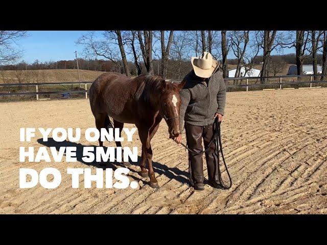 One of the most important lessons your horse will ever have