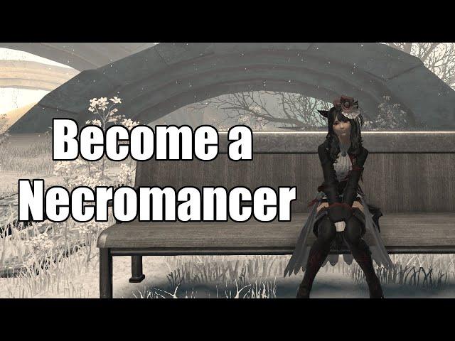 Become a Necromancer: A Guide to Solo Palace of the Dead as Red Mage