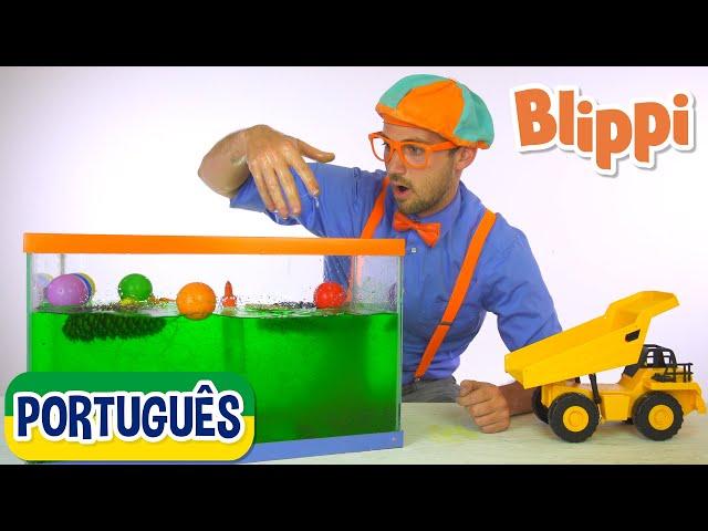 Blippi Português Afunda ou Flutua | Vídeos de ciência para crianças | Vídeos Educativos